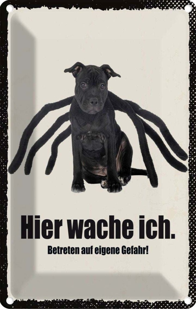 [LA-1783476] Blechschild 18x12 cm Hund hier wache ich eigene Gefahr