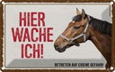 Blechschild 12x18 cm Pferd hier wache ich eigene Gefahr