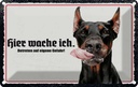 Blechschild 12x18 cm Dobermann hier wache ich Hund