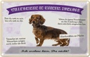 Blechschild 12x18 cm Tiere Dackel willkommen wohne hier Hund