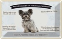 Blechschild 12x18 cm Tiere Yorkshire Terriere willkommen Hund