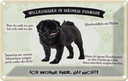 Blechschild 12x18 cm Tiere Mops willkommen Zuhause Hund