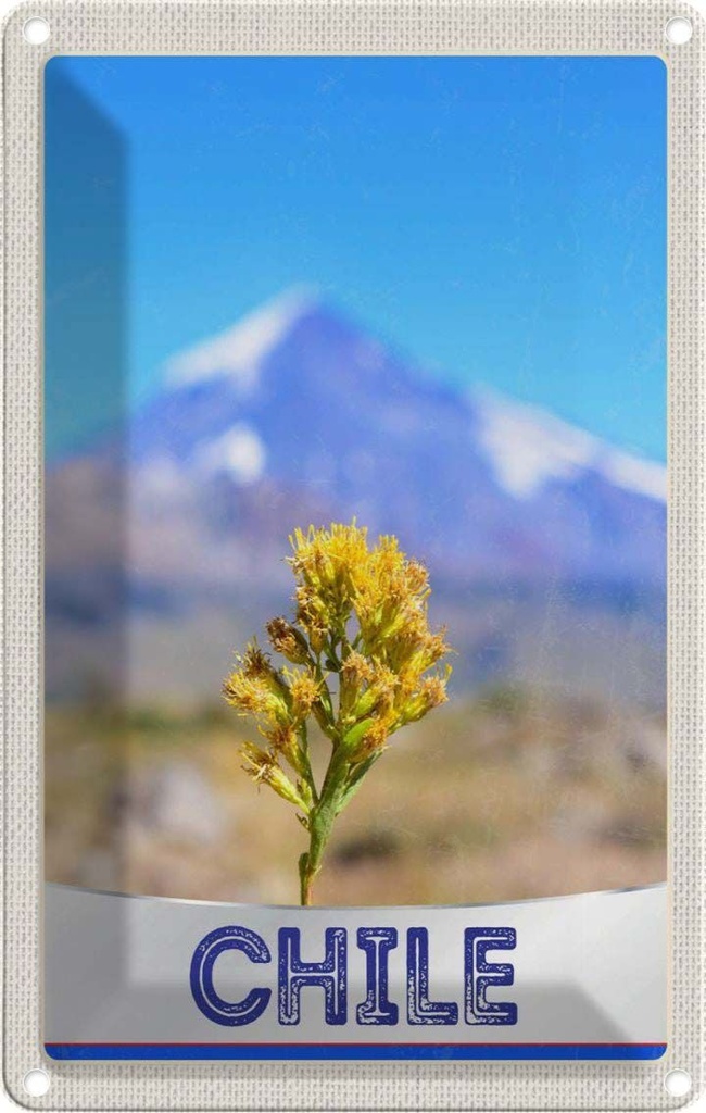 [LA-1783553] Blechschild 18x12 cm Chile Blume Gebirge Bildmotiv Reisemotiv Abenteuer Reisen