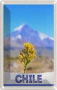 Blechschild 18x12 cm Chile Blume Gebirge Bildmotiv Reisemotiv Abenteuer Reisen