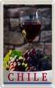 Blechschild 18x12 cm Chile Wein Trauben Tradition Bildmotiv Reisemotiv Abenteuer Reisen