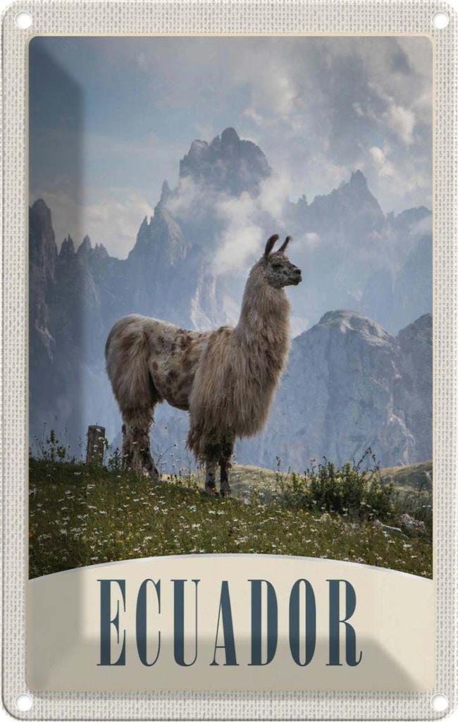 [LA-1783571] Blechschild 18x12 cm Fuerteventura Spanien Lama Berge Bildmotiv Reisemotiv Abenteuer Reisen