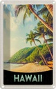 Blechschild 18x12 cm Hawaii Insel Strand Palmen Sonne Bildmotiv Reisemotiv Abenteuer Reisen