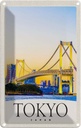 Blechschild 18x12 cm Tokio Asien Japan Brücke Hochhaus Bildmotiv Reisemotiv Abenteuer Reisen