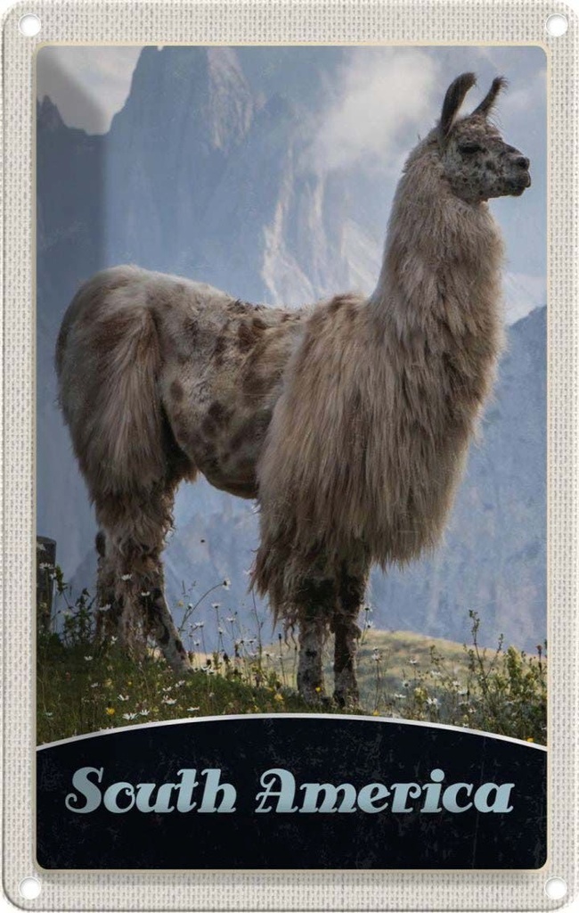 [LA-1783668] Blechschild 18x12 cm Süd Amerika Lama Gebirge Wiese Bildmotiv Reisemotiv USA