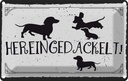 Blechschild 12x18 cm Hereingedackelt!