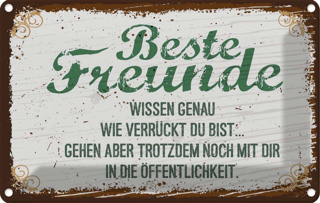 [LA-1783999] Blechschild 12x18 cm Beste Freunde verrückt wissen genau Spruch Zitat