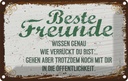 Blechschild 12x18 cm Beste Freunde verrückt wissen genau Spruch Zitat