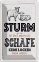 Blechschild 18x12 cm lustig Sturm wenn Schafe Locken Witz Humor Spaß