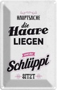 Blechschild 18x12 cm Hauptsache Haare liegen Schlüppi Spruch Zitat
