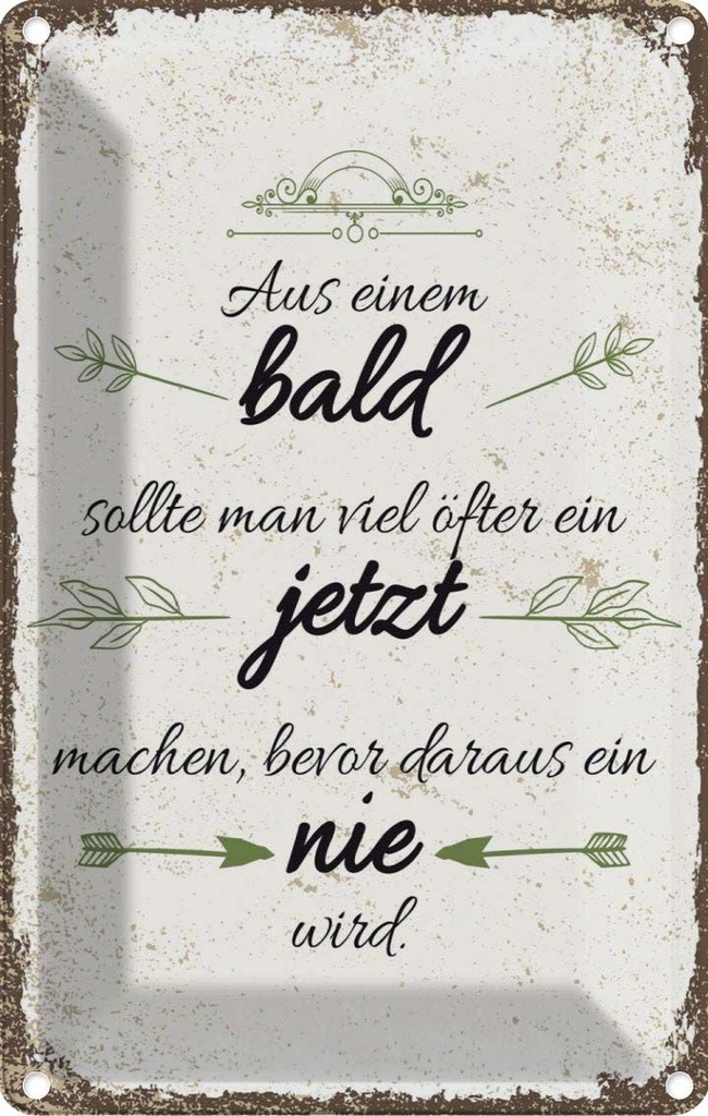 [LA-1784098] Blechschild 18x12 cm aus Blad sollte JETZT bevor NIE Spruch Zitat