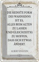 Blechschild 18x12 cm Einstein reinste Form Wahnsinns Spruch Zitat