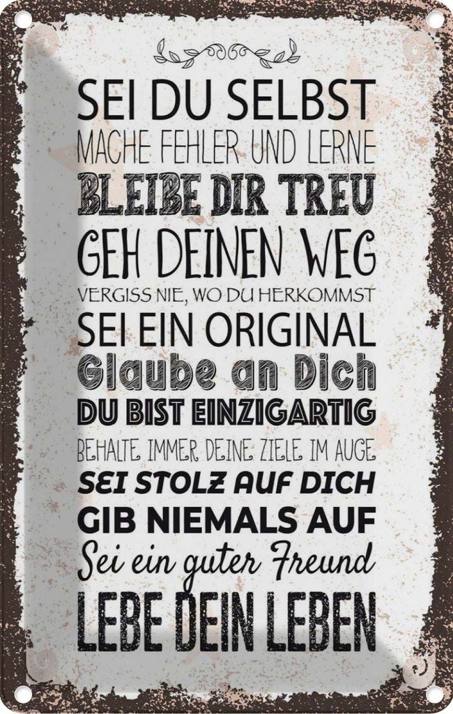 [LA-1784165] Blechschild 18x12 cm Sei du selbst mache Fehler lerne Spruch Zitat