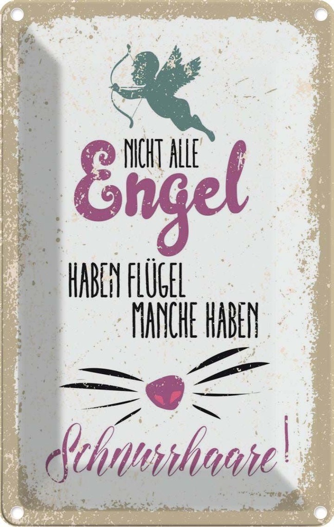 [LA-1784182] Blechschild 18x12 cm Nicht alles Engel haben Flügel Spruch Zitat