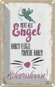 Blechschild 18x12 cm Nicht alles Engel haben Flügel Spruch Zitat