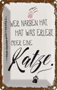 Blechschild 18x12 cm Katze Wer Narben hat was erlebt