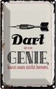 Blechschild 18x12 cm Dart Genie kann man nicht lernen Spruch Zitat