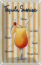 Blechschild 18x12 cm Alkohol Tequila Sunrise Cherry Orange