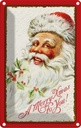 Blechschild 18x12 cm Weihnachten Santa Gruß Fest Claus Christmas Abenteuer Reisen Urlaub Ostern