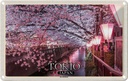 Blechschild 12x18 cm Tokio Japan Kirschblüten Bäume Fluss Bildmotiv Reisemotiv Abenteuer Reisen