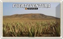 Blechschild 12x18 cm Fuerteventura Spanien Aloe Vera Plantage Bildmotiv Reisemotiv Abenteuer Reisen