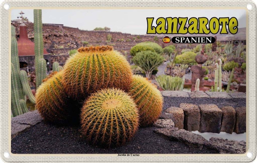 Blechschild 12x18 cm Lanzarote Spanien Jardin de Cactus Garten Bildmotiv Reisemotiv Abenteuer Reisen