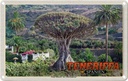 Blechschild 12x18 cm Teneriffa Drago Milenario-Tausendjährige Bildmotiv Reisemotiv Abenteuer Reisen