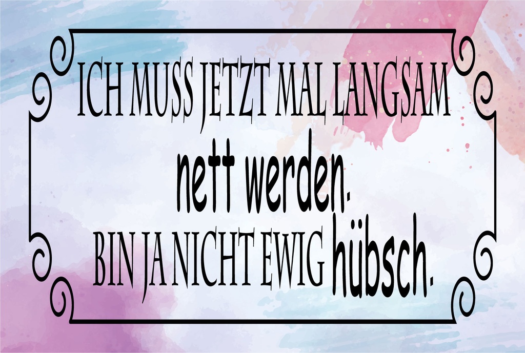 Blechschild 12x18 cm ich muss mal langsam nett werden
