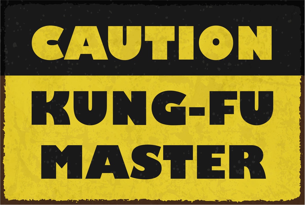 Blechschild 12x18 cm Caution Kung Fu Master