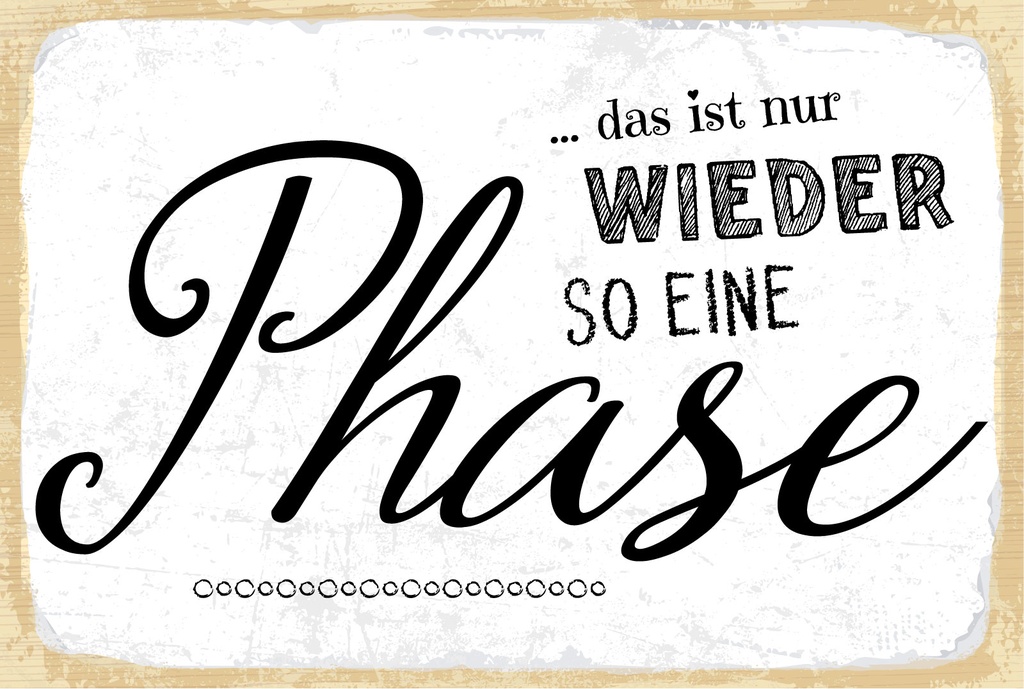 Blechschild 12x18 cm nur wieder so eine Phase
