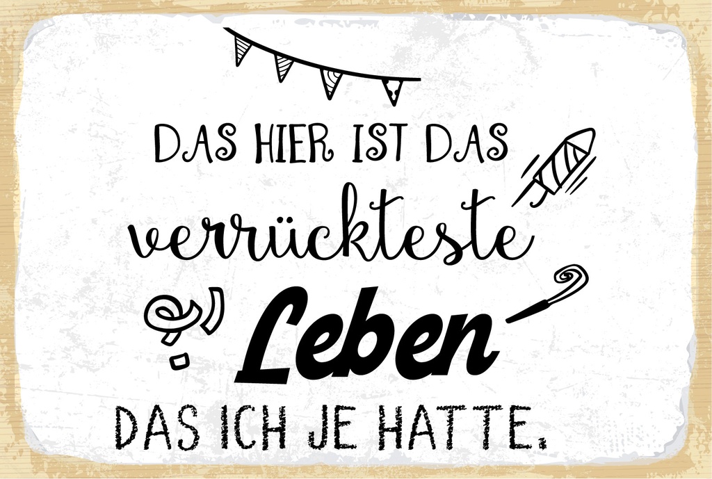Blechschild 12x18 cm Das verrückteste Leben das ich je hatte