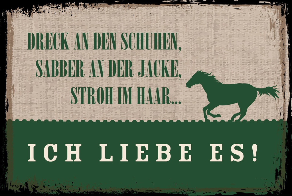 Blechschild 12x18 cm Stroh im Haar Ich liebe es Pferd
