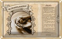 Blechschild 20x30 cm Altenpflegerin Beruf Arbeit