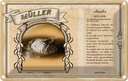 Blechschild 20x30 cm Müller Beruf Arbeit