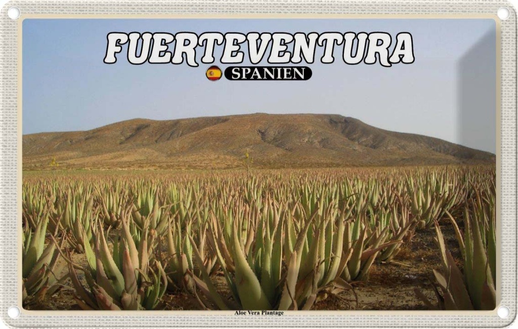 [LA-135337] Blechschild 20x30 cm Fuerteventura Spanien Aloe Vera Plantage Bildmotiv Reisemotiv Abenteuer Reisen Urlaub