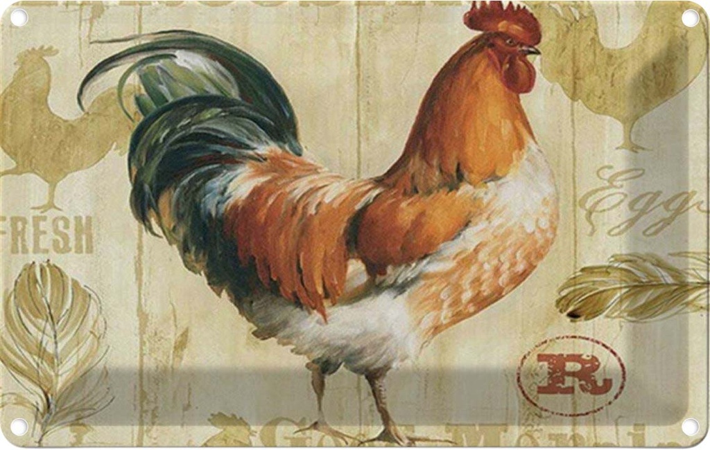 [LA-1784777] Blechschild 20x30 cm Huhn Hühner Eggs frische Eier Tier Haustier