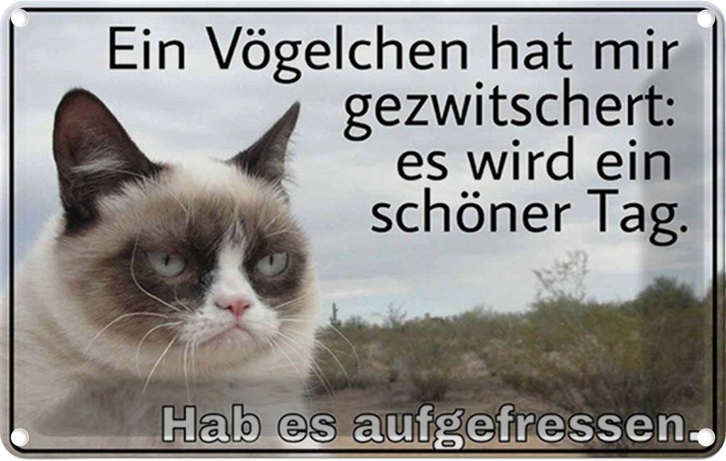 [LA-1784780] Blechschild 20x30 cm Katze Vögelschen gezwitschert