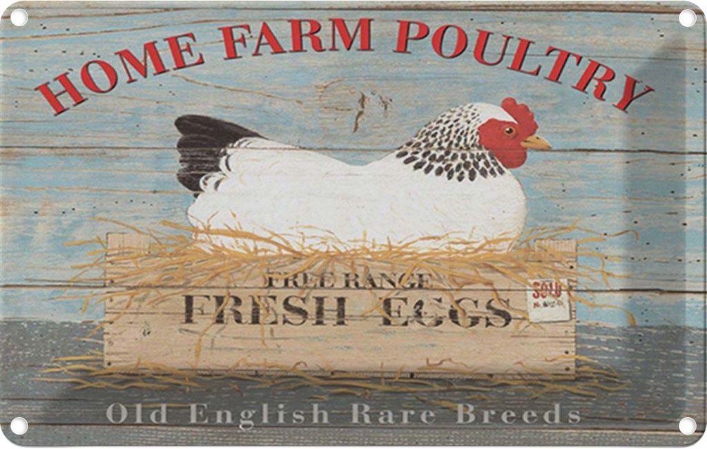 Blechschild 20x30 cm Home farm poultry fresh eggs