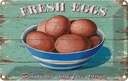 Blechschild 20x30 cm fresh eggs Frische Eier