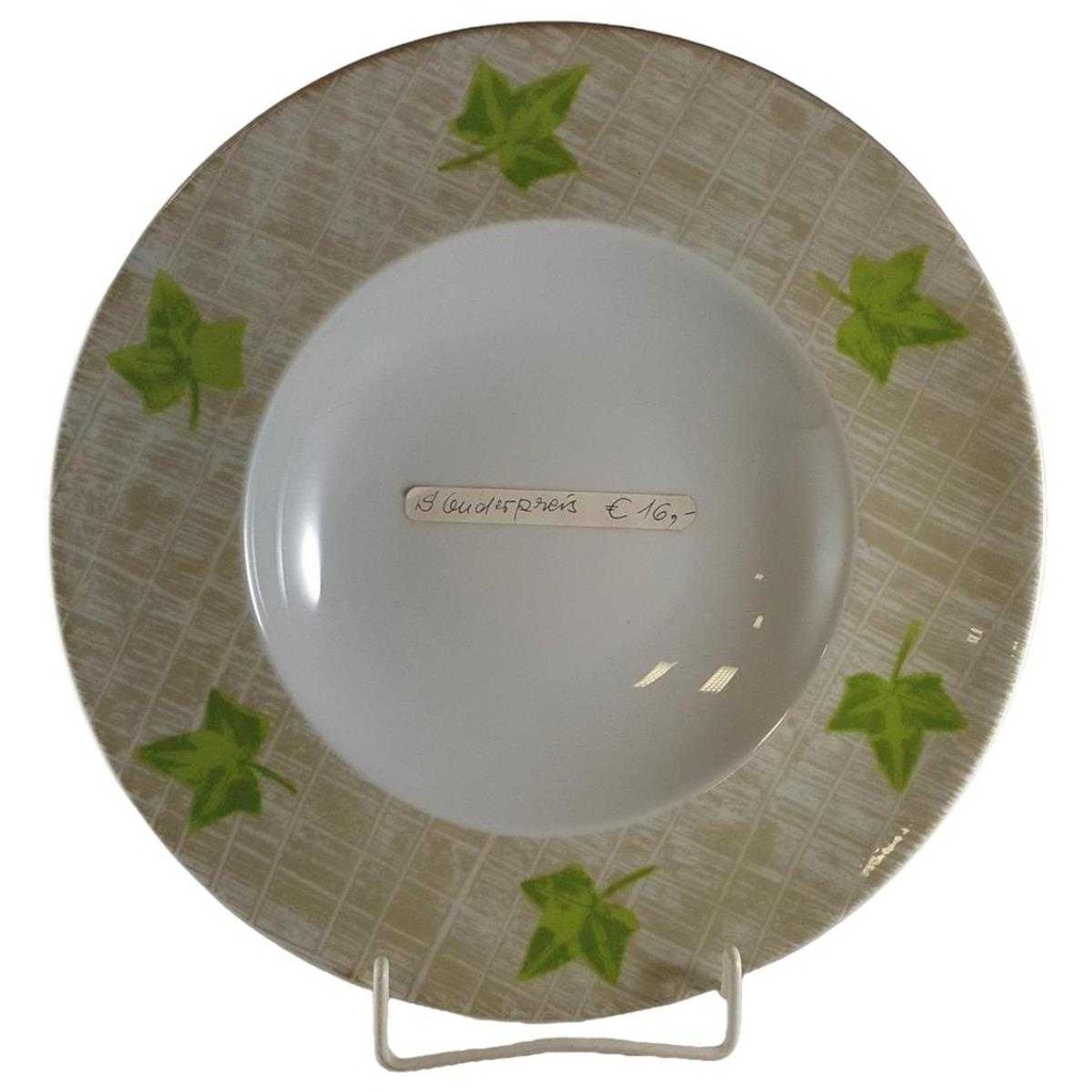[45812329] Speiseteller Pastateller 29,8 cm Thomas Porzellan Grün gebraucht - neuwertig