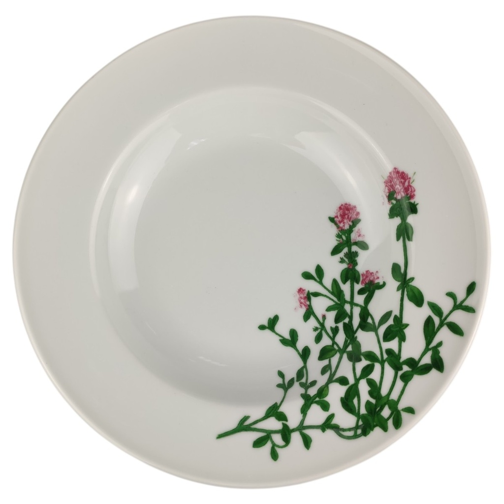 [1820868-1] Suppenteller 23 cm Schönwald Dibbern Herbaticum Thymian
