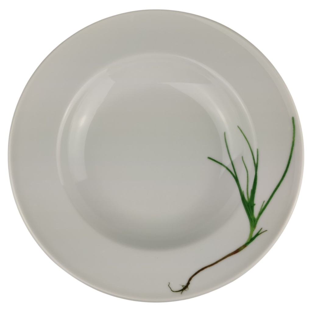 [1820874-1] Suppenteller 23 cm Dibbern Herbaticum Schnittlauch