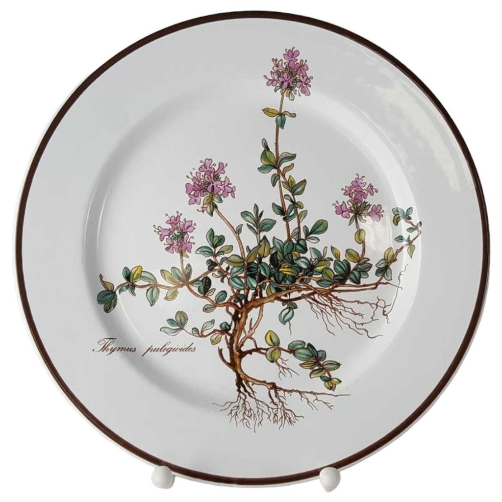 [45812836-2] Kuchenteller Dessertteller 21 cm Villeroy & Boch Botanica (gebraucht - neuwertig)
