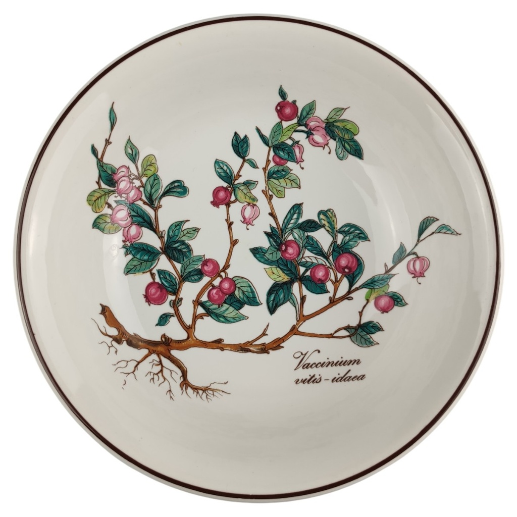 [1818167-2] Dessertschale 14 cm Villeroy & Boch Botanica Vaccinium vitis idaea I. Wahl (gebraucht - sehr gut)