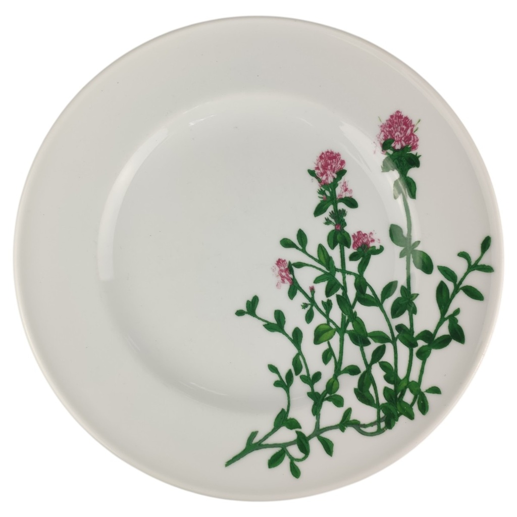 [1820784-2] Speiseteller 26 cm Dibbern Herbaticum Thymian (gebraucht - sehr gut)