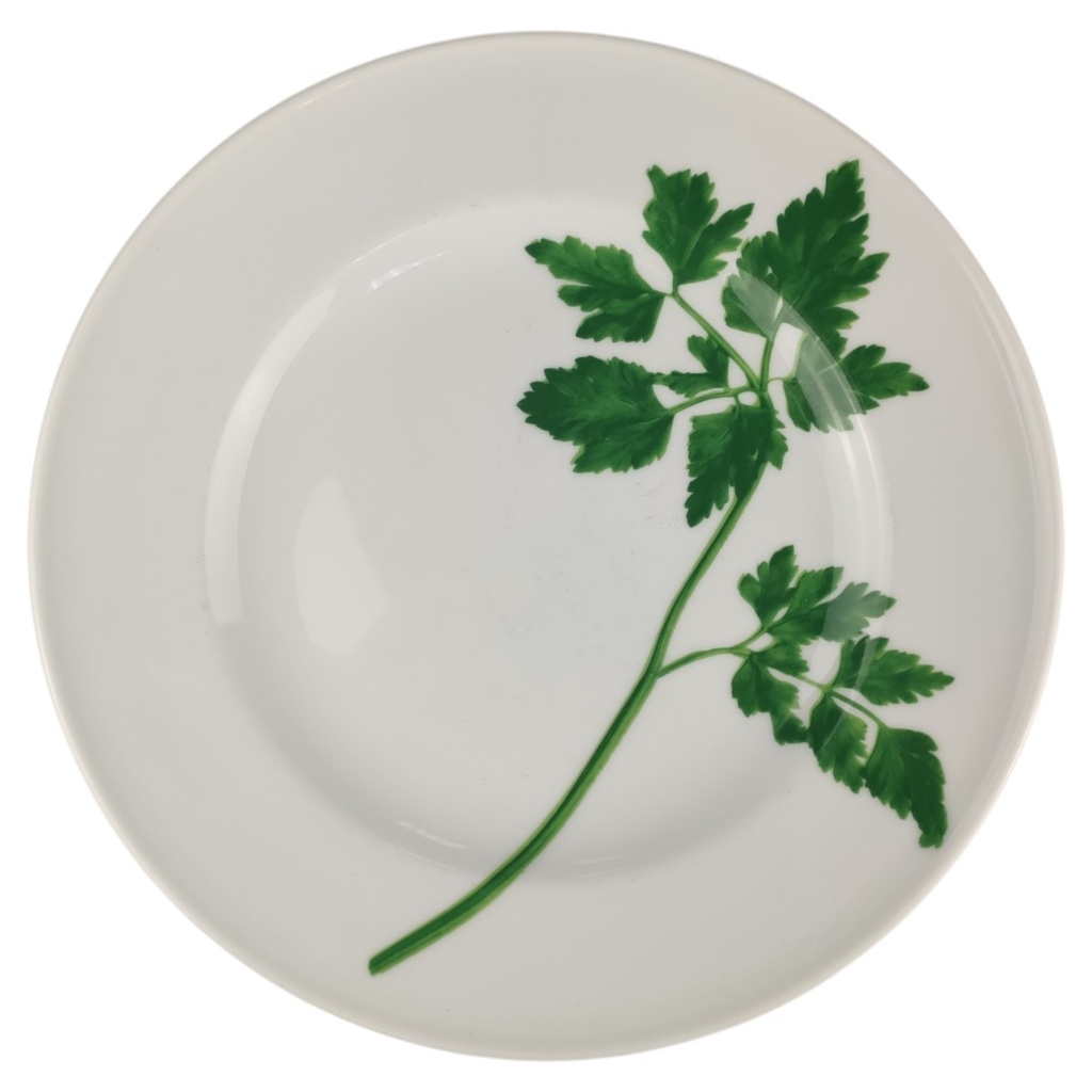 [1820787-2] Speiseteller 26 cm Dibbern Herbaticum Petersilie (gebraucht - sehr gut)